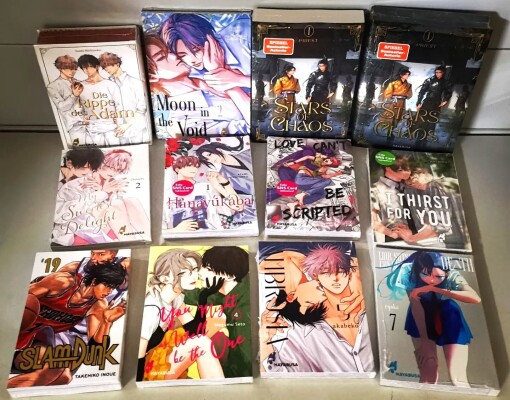 Die Manga-Neuheiten von Hayabusa sind eingetroffen! - 