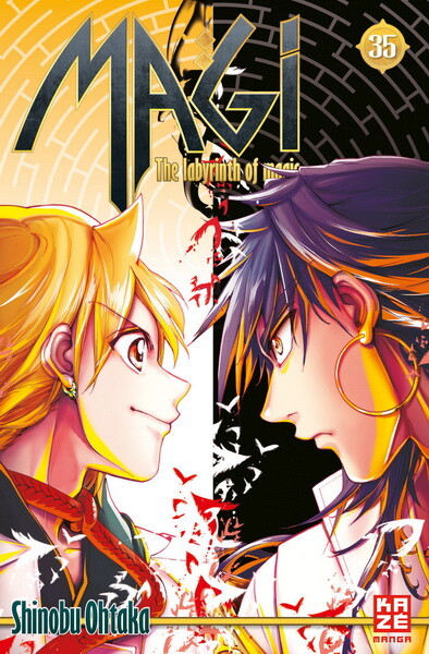Magi - The Labyrinth of Magic  Band 35
