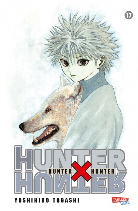 HUNTER X HUNTER Band 17 (Neuedition)