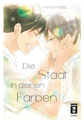 Die Stadt in deinen Farben (Einzelband)