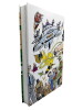DC New Frontier - Schöne, neue Welt (Absolute Edition) HC