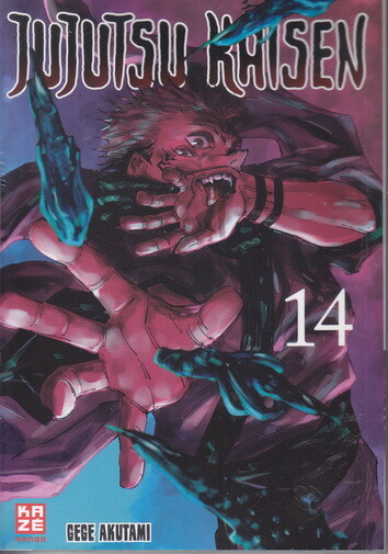 Jujutsu Kaisen Band 14 (Deutsche Ausgabe)