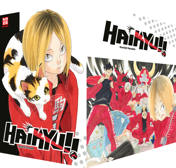 Haikyu!! Band 21-30 im Sammelschuber