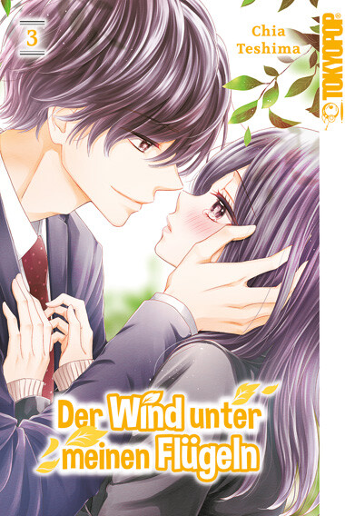 Der Wind unter meinen Flügeln Band 3