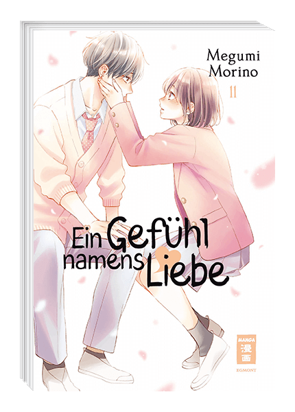 Ein Gefühl namens Liebe Band 11