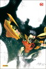 Robin und Batman - Der Weg zum Helden  HC lim. 555 Expl.