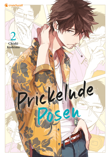 Prickelnde Posen Band 2 (Abschlussband)