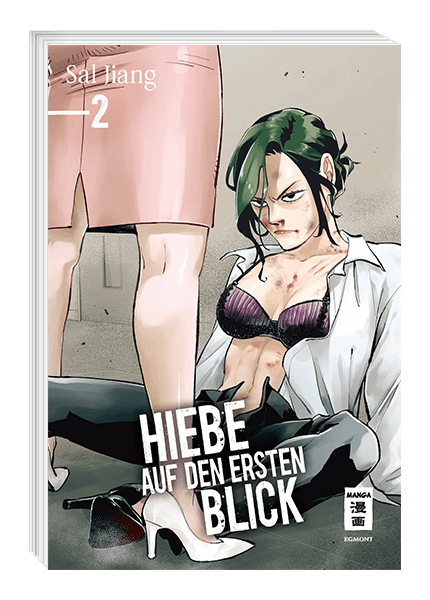 Hiebe auf den ersten Blick Band 2
