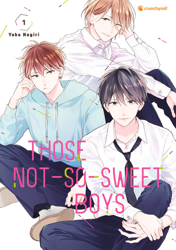 Those Not-So-Sweet Boys Band 1 (Deutsche Ausgabe)