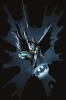 Batman - Die Festung   - HC (333)
