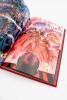 Flashpoint (Collector’s Edition)  HC (999)
