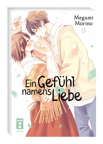 Ein Gefühl namens Liebe Band 13