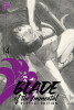 Blade of Immortal Perfect Edtiion 14 SC (Deutsche Ausgabe)