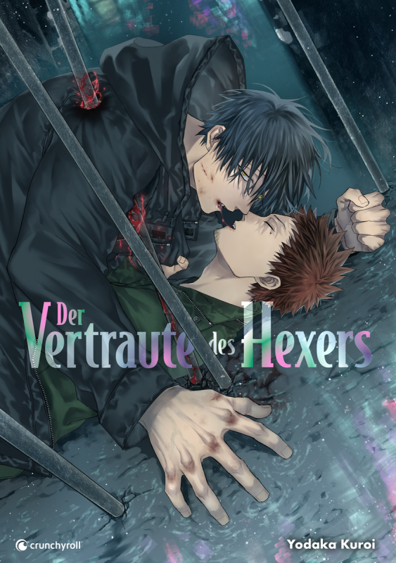 Der Vertraute des Hexers (Einzelband)