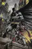 Batman und Robin 1 SC  Variant (222)