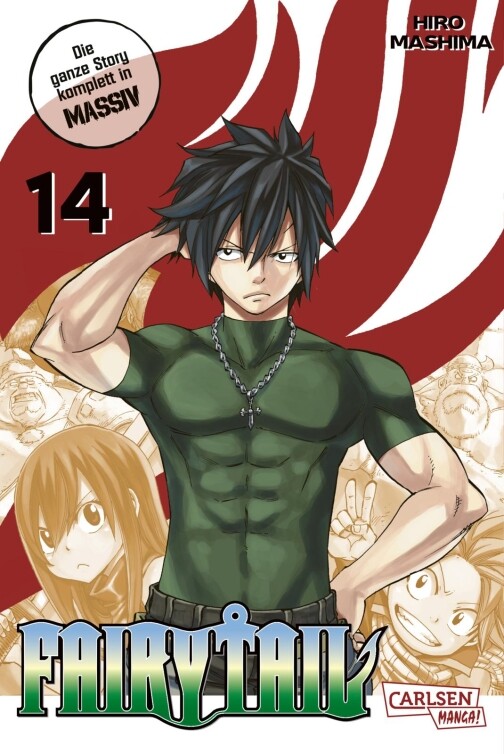 Fairy Tail Massiv Band 14