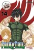 Fairy Tail Massiv Band 14