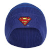 DC Comics Superman – Logo Beanie