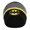 DC Comics Batman – Logo Beanie