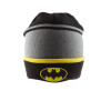 DC Comics Batman – Logo Beanie