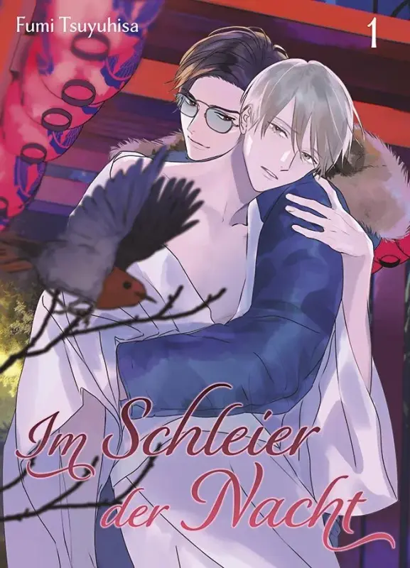 Im Schleier der Nacht Band 1