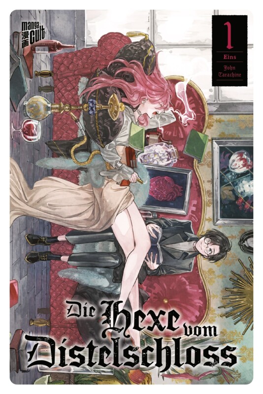 Die Hexe vom Distelschloss 1
