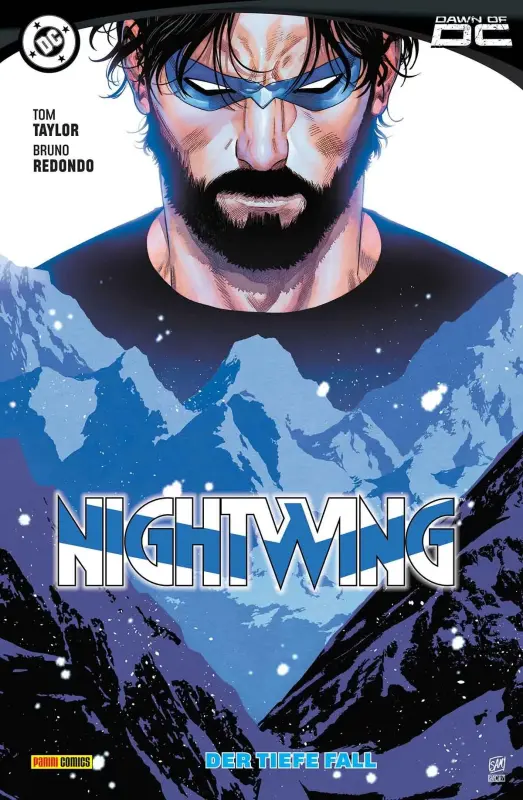 Nightwing 4: Der tiefe Fall. SC