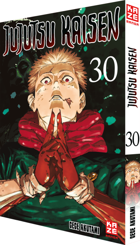 Jujutsu Kaisen Band 30 (Deutsche Ausgabe) Abschlussband