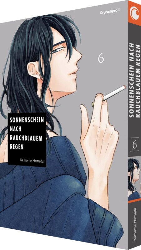 Sonnenschein nach rauchblauem Regen Band 6