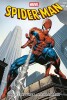 Spider-Man Collection von J. M. Straczynski 2 (von 2) - HC