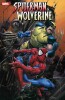 Spider-Man & Wolverine 1. SC Variant (555)