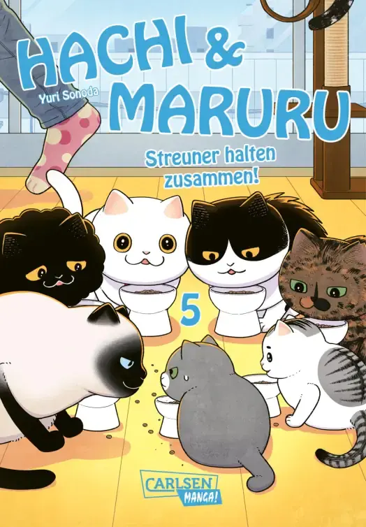 Hachi & Maruru – Streuner halten zusammen! 5