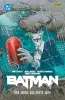 Batman Paperback 3 - Der Joker - Das erste Jahr SC