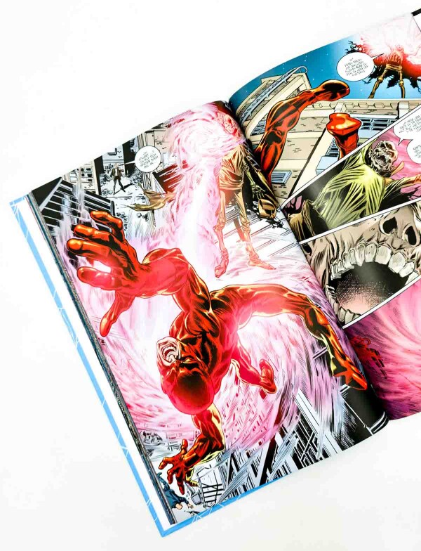 Spider-Man & Daredevil HC