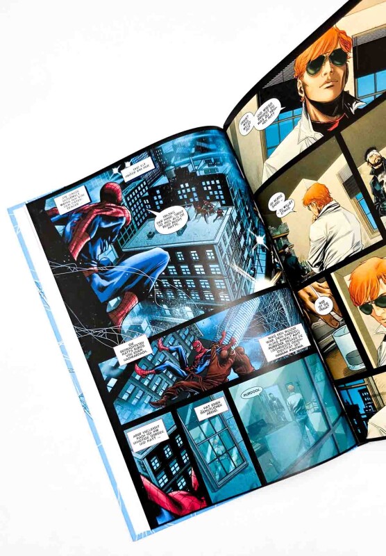 Spider-Man & Punisher HC