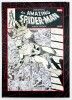 Marvel Artist Edition - Amazing Spider-Man by John Romita Sr.  HC
